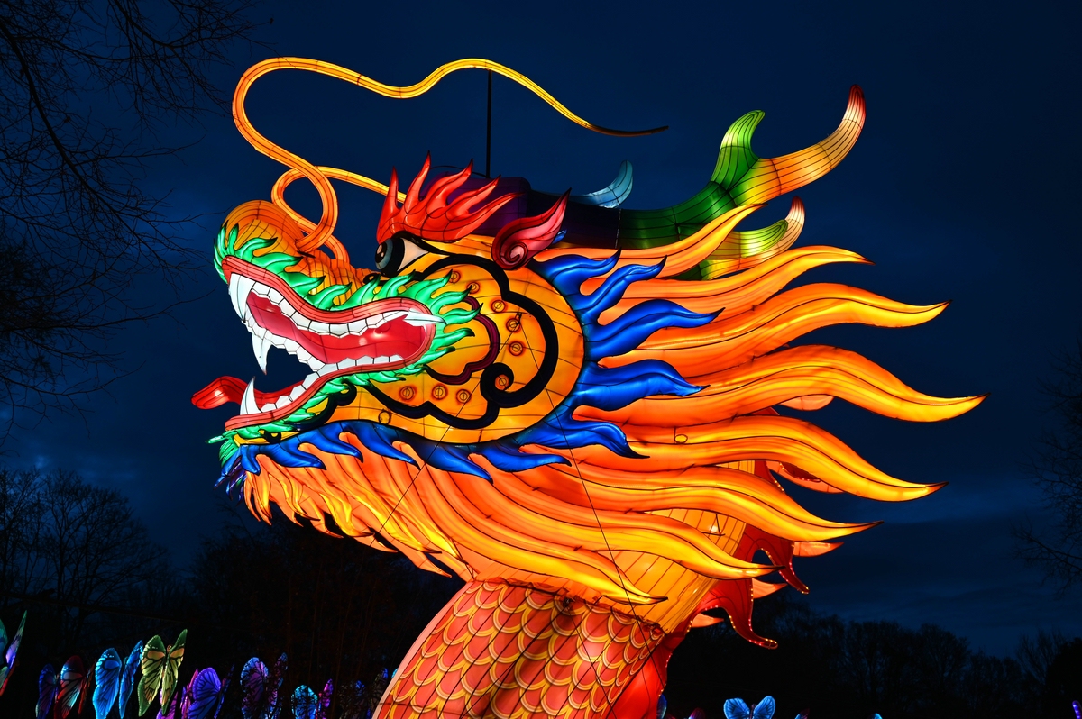comp_004-Drache groß 2.jpg