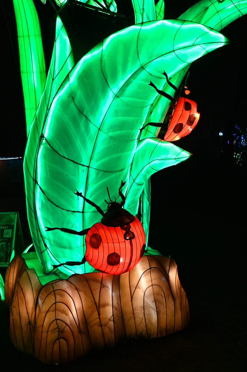comp_007-Marienkäfer.jpg
