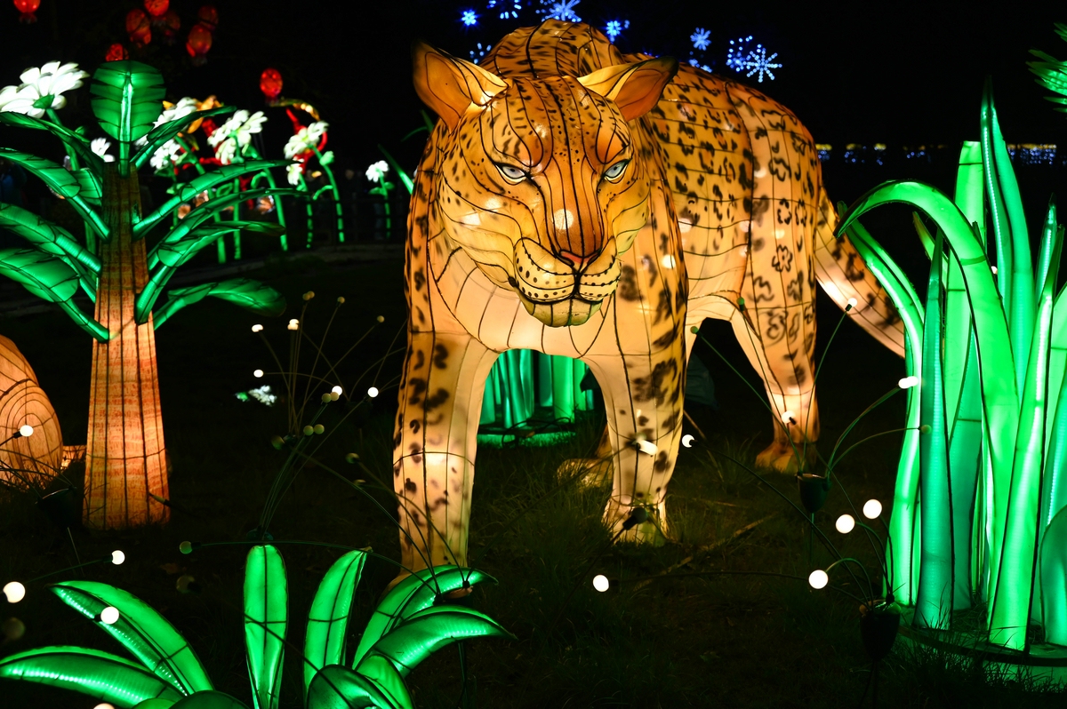 comp_008-Leopard.jpg