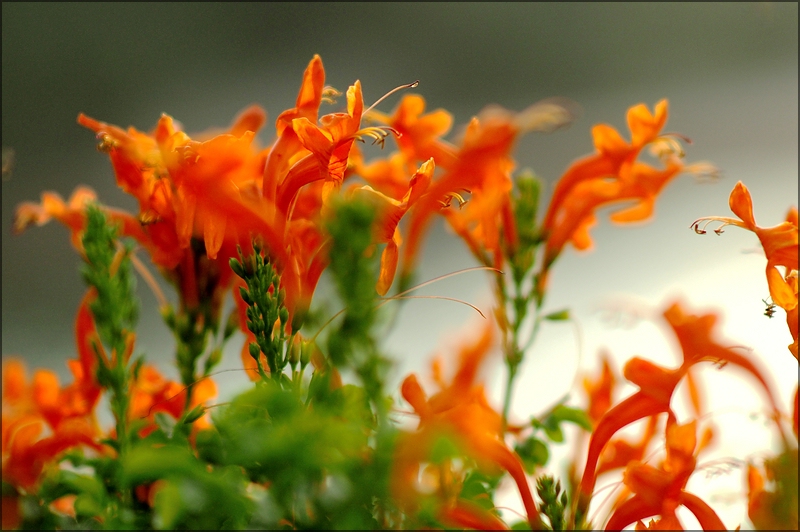 comp_105-2.5-3.jpg