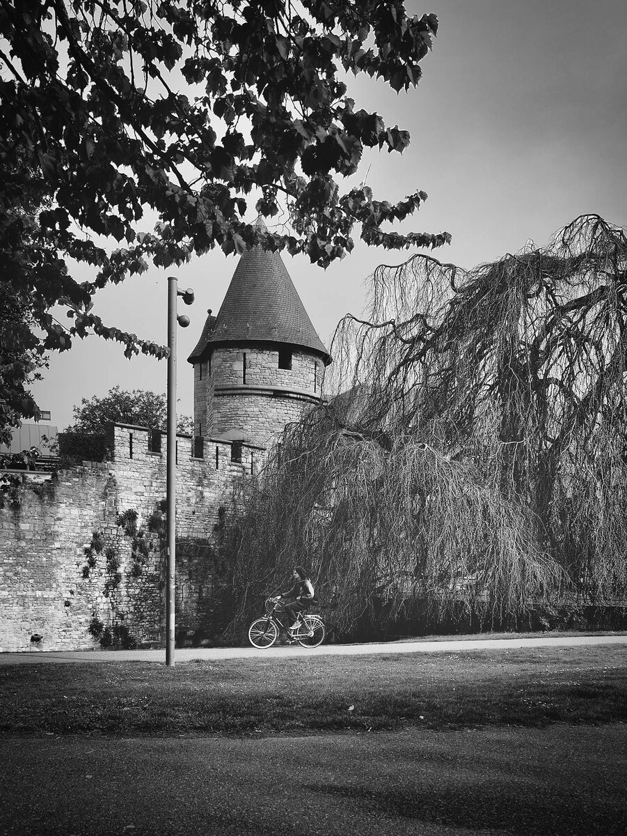 comp_14 (1).jpg