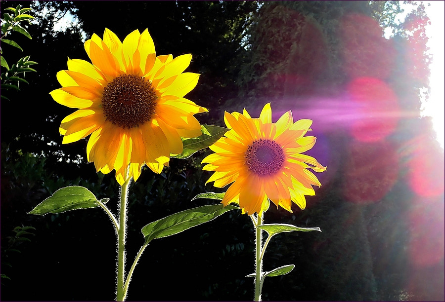 full