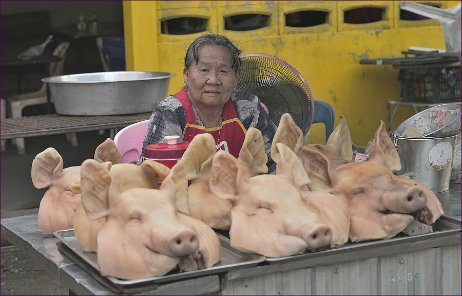 comp_2pig2.jpg