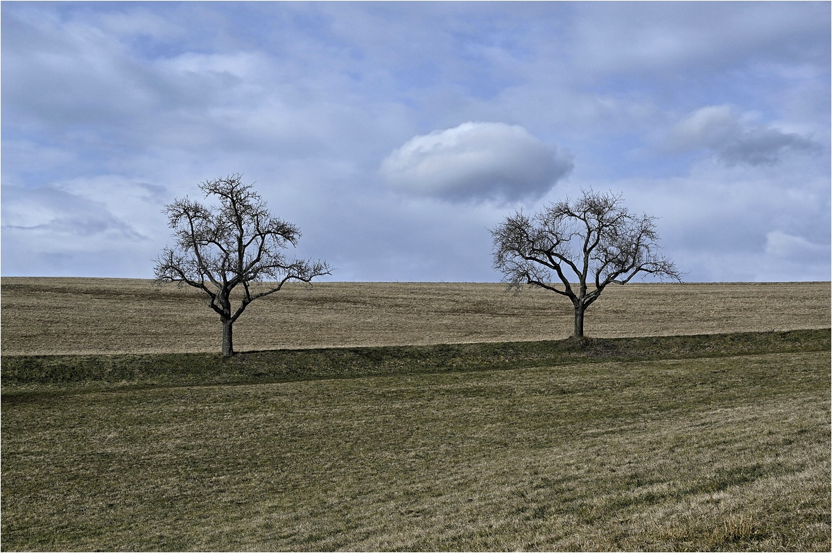 comp__DSC3732_ Kopie.jpg