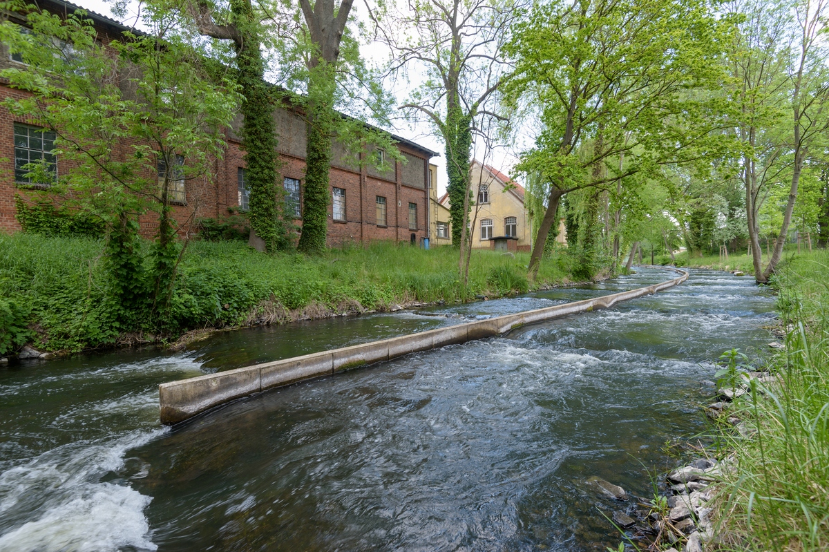 comp__J001738.jpg
