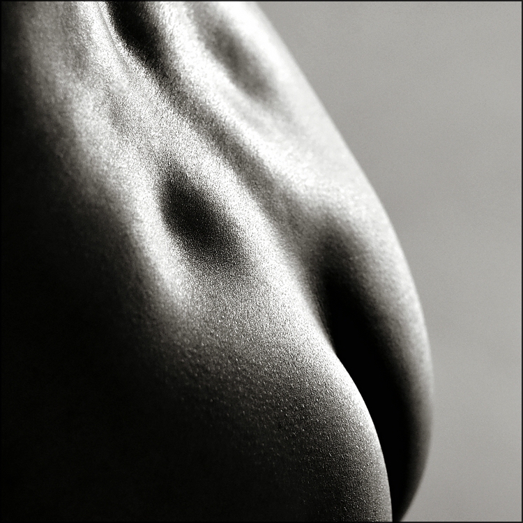 comp_Body-shape1-1.jpg