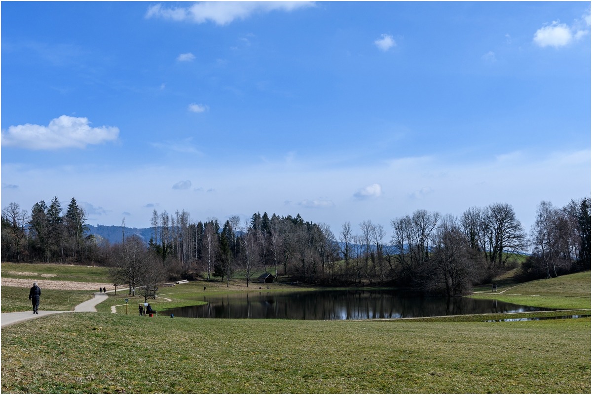 comp_D50_8176.jpg