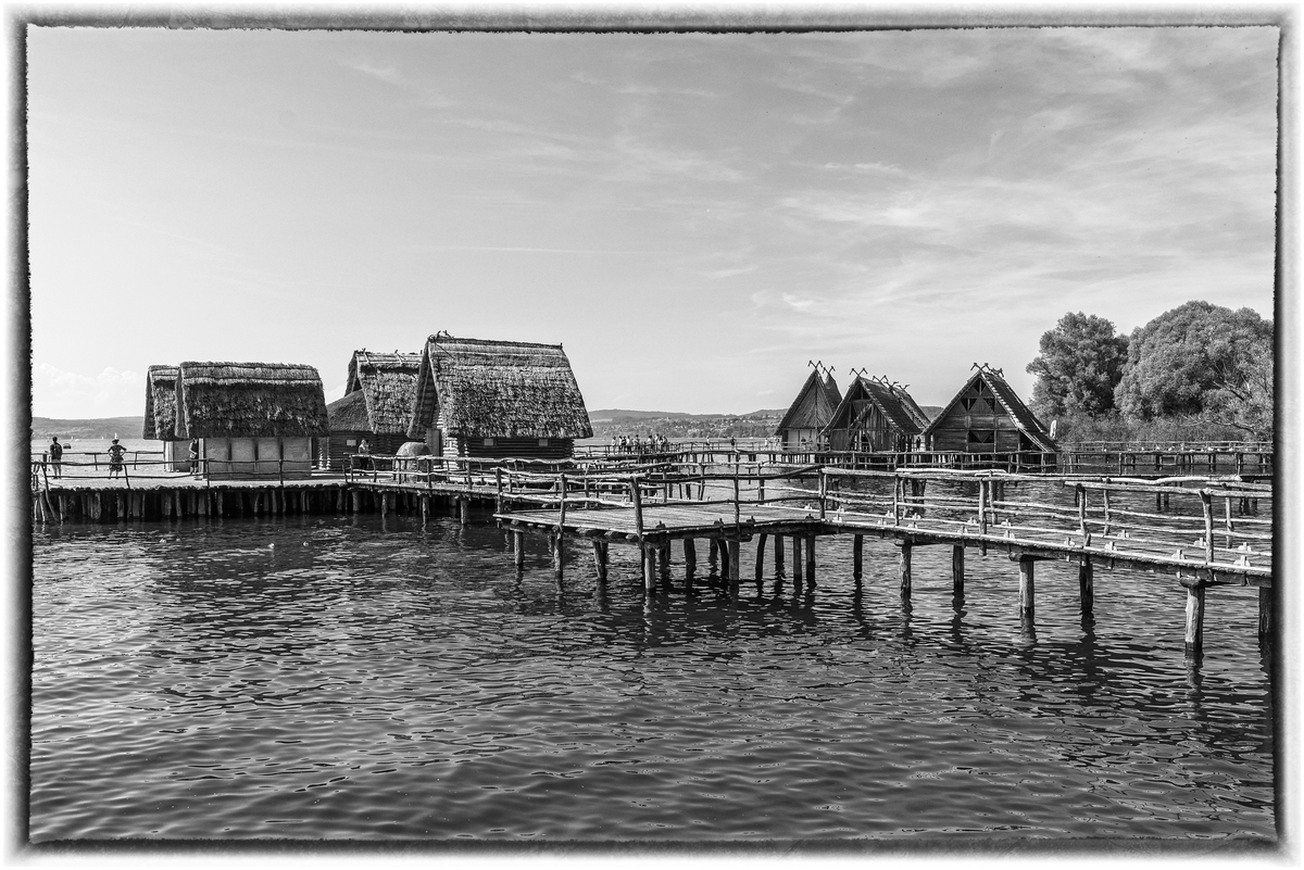 comp_D50_8999-Bearbeitet-2.jpg