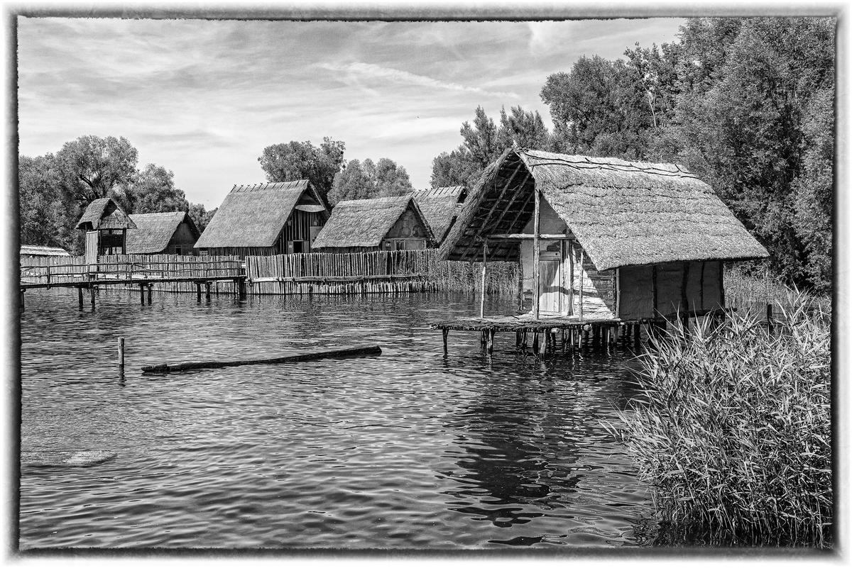 comp_D50_9000-Bearbeitet Kopie.jpg