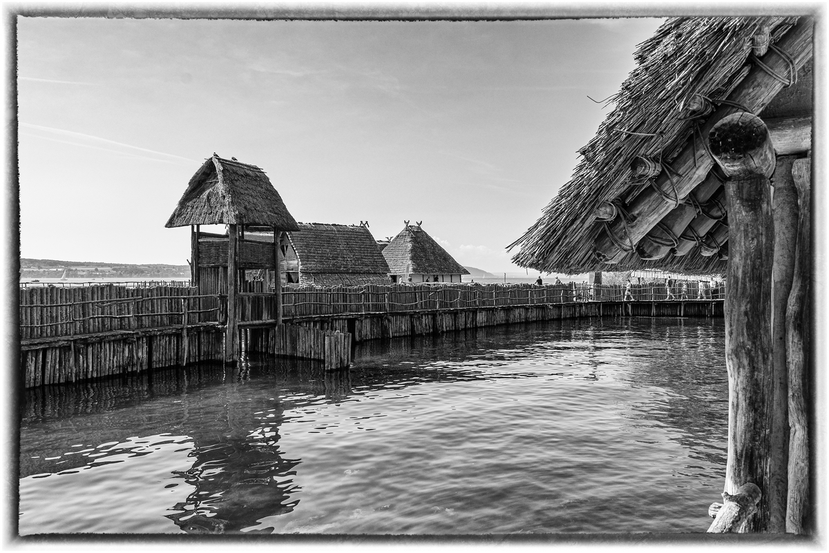 comp_D50_9003-Bearbeitet-2.jpg