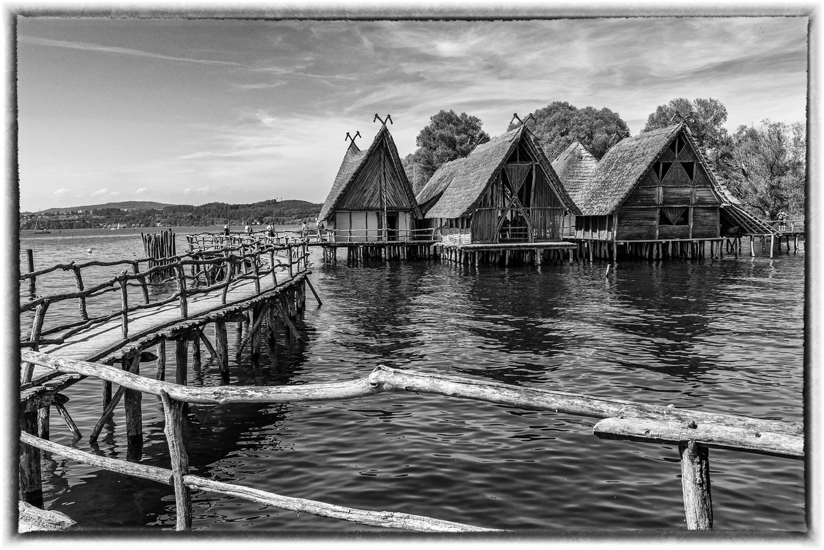 comp_D50_9016-Bearbeitet-2.jpg