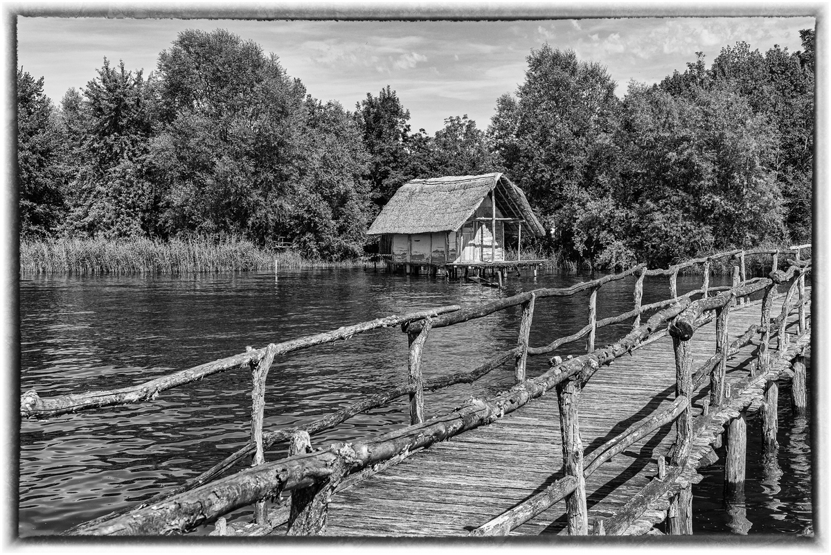 comp_D50_9026-Bearbeitet-2.jpg