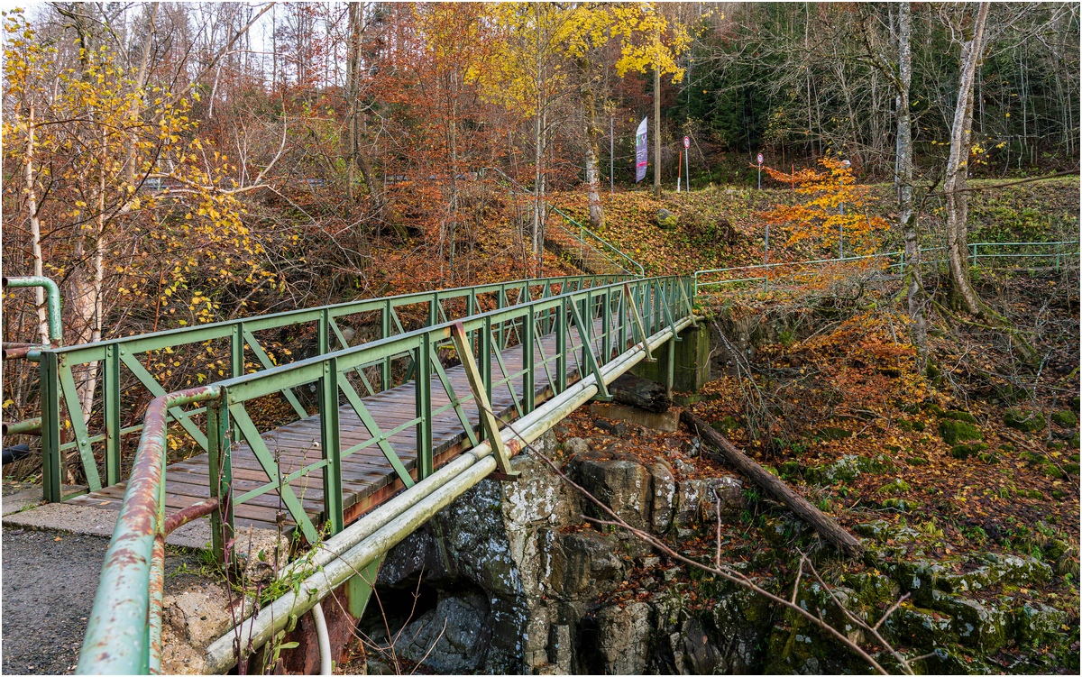 comp_D85_0611-NEF_DxO_DeepPRIME.jpg