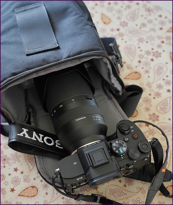 comp_DSC04060.jpg