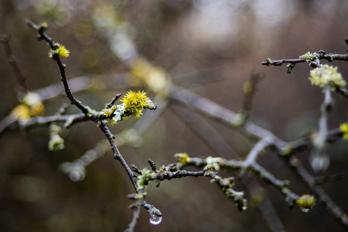 comp_DSC_0494.jpg