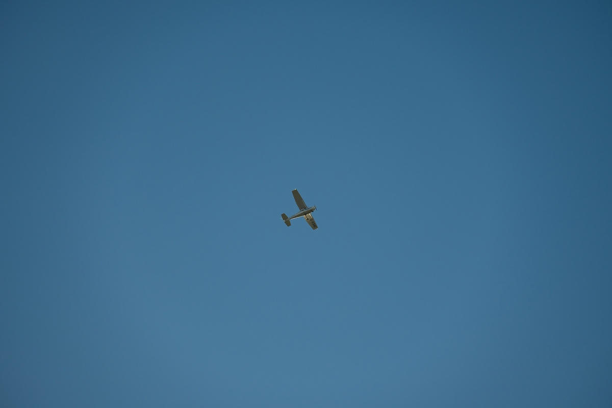 comp_DSC_0831.jpg