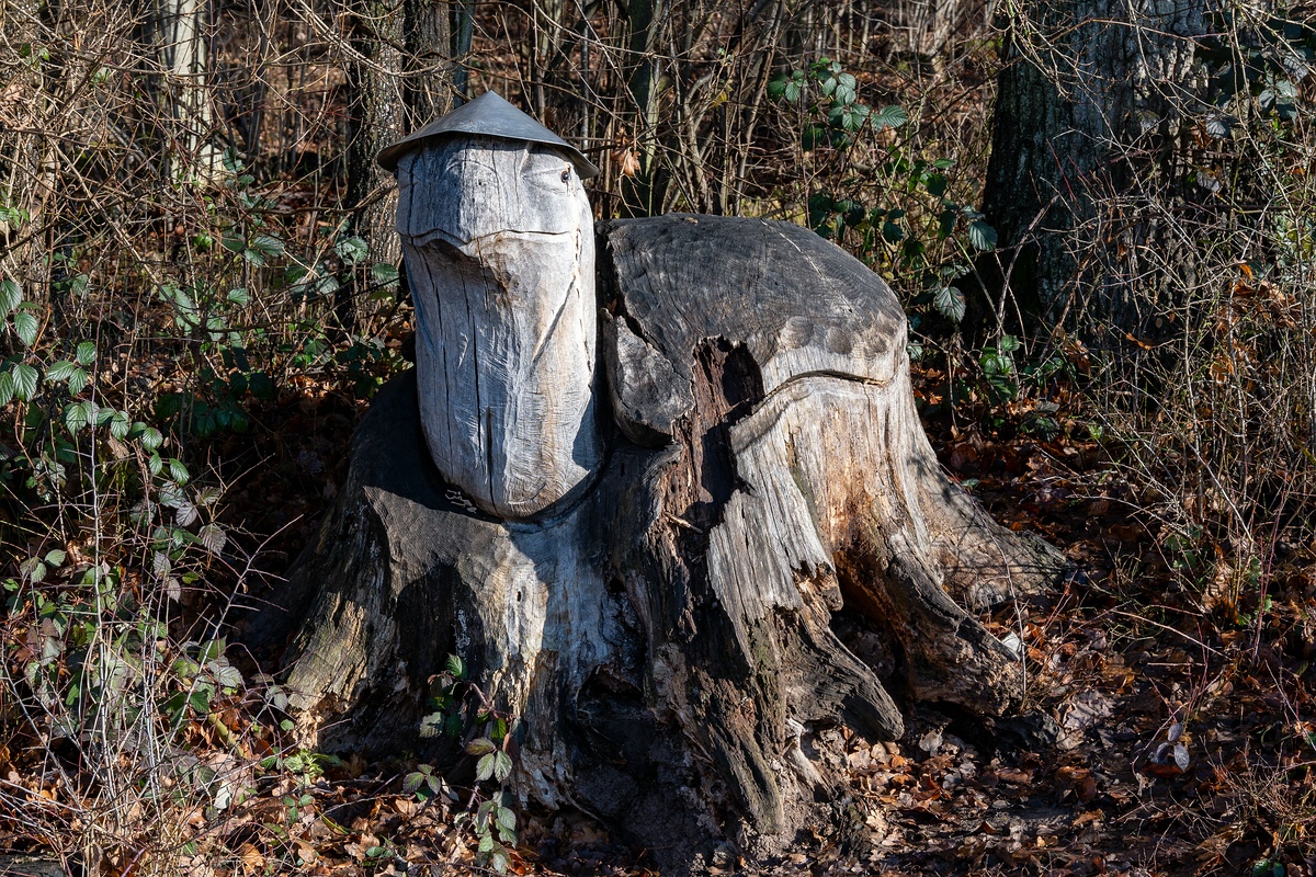 comp_DSC_0842.jpg