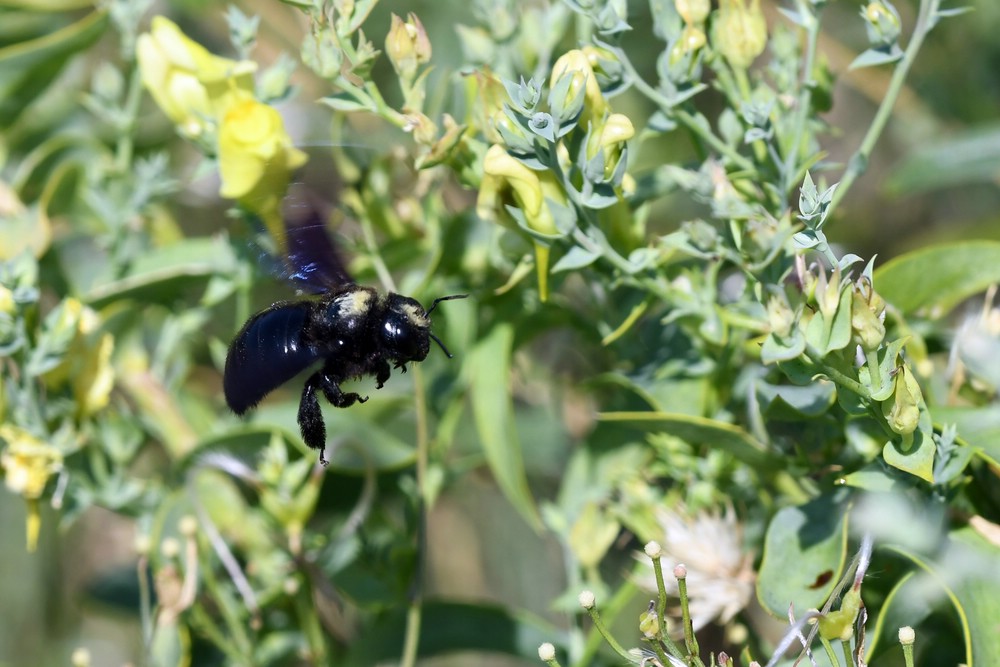 comp_DSC_0952.jpg