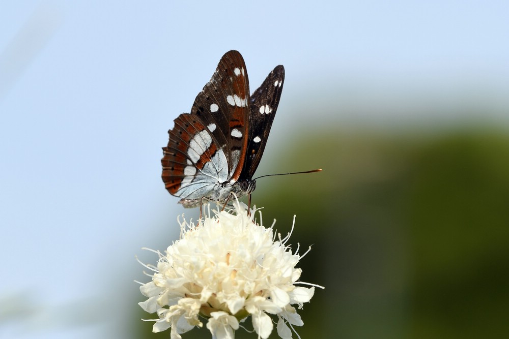 comp_DSC_1024.jpg