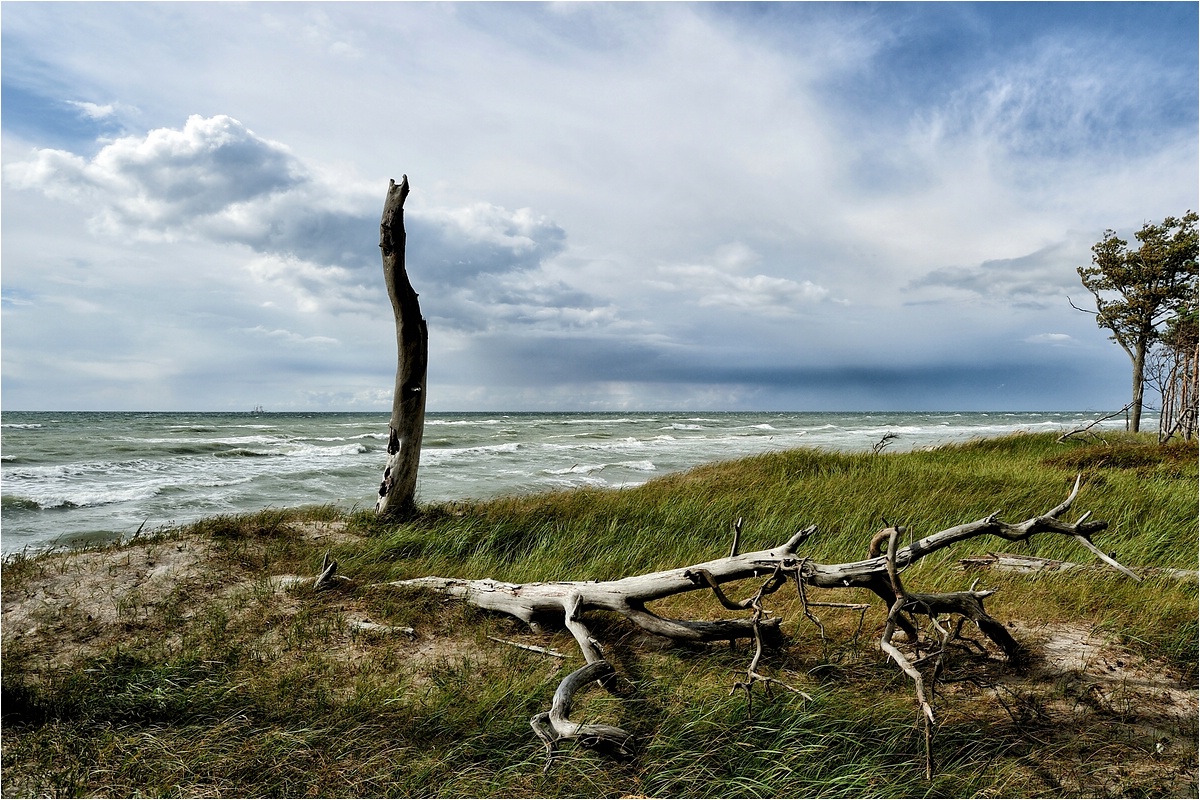 comp_DSC_1773-1 Kopie.jpg