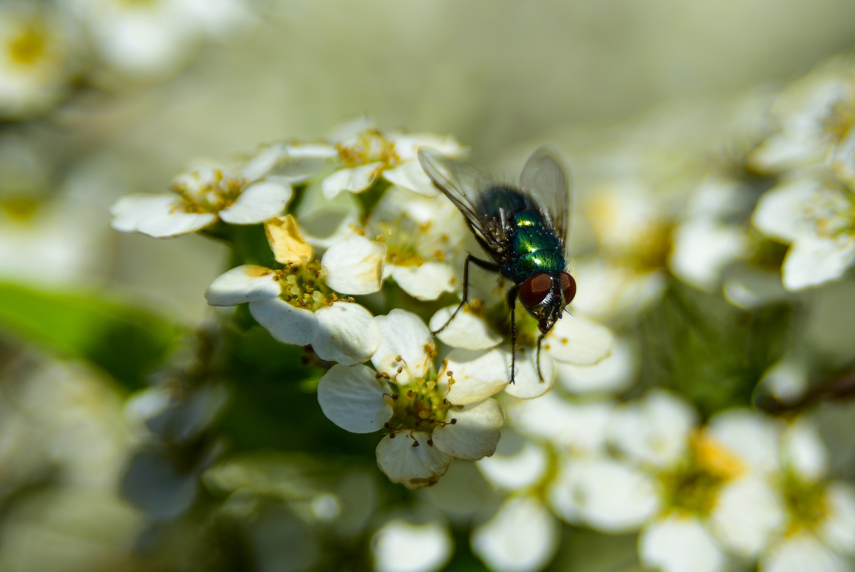 comp_DSC_5406.jpg