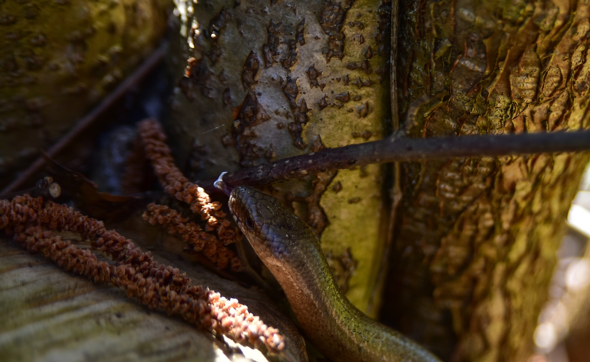 comp_DSC_5465.jpg