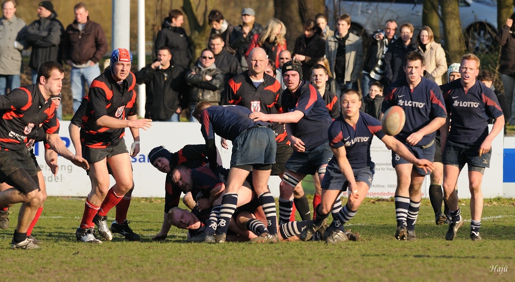 compaRugby 127 14