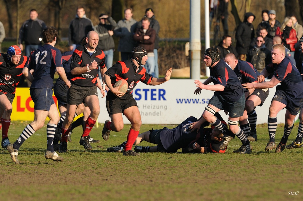 compaRugby 137 7