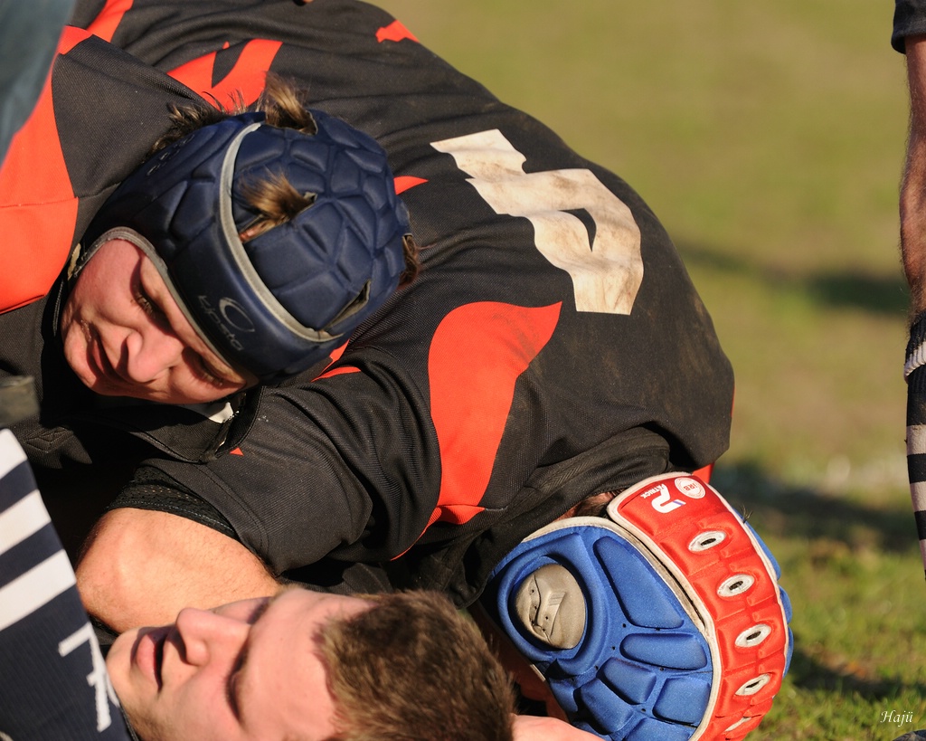 compaRugby 149 11