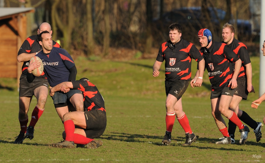 compaRugby 175 6