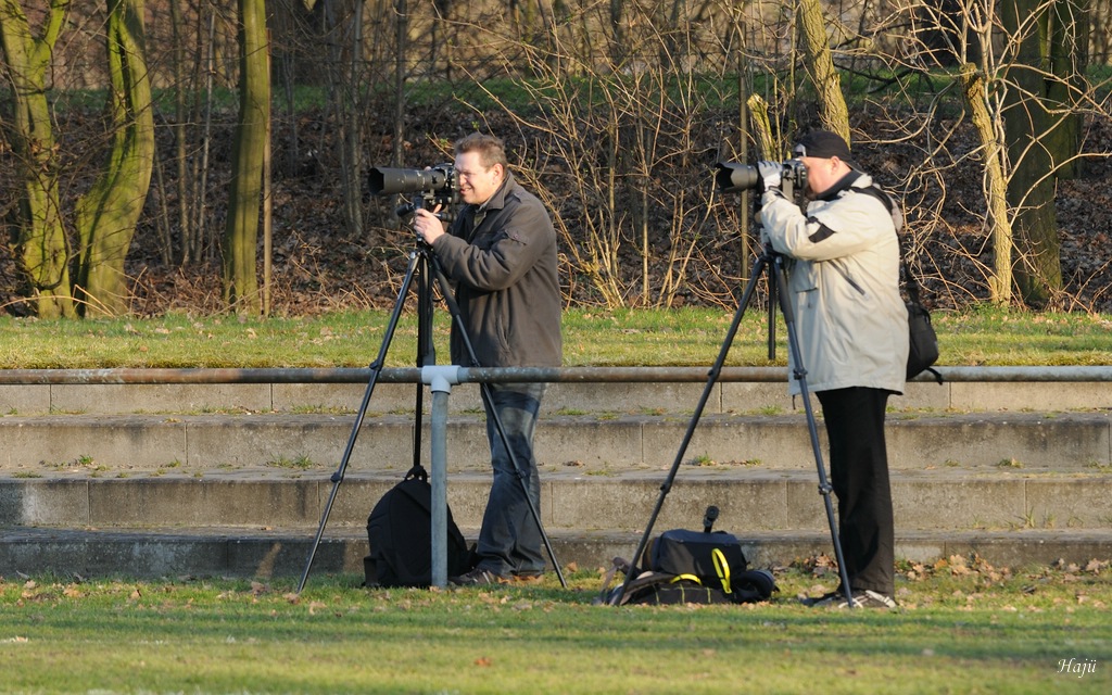 compaRugby 186 4