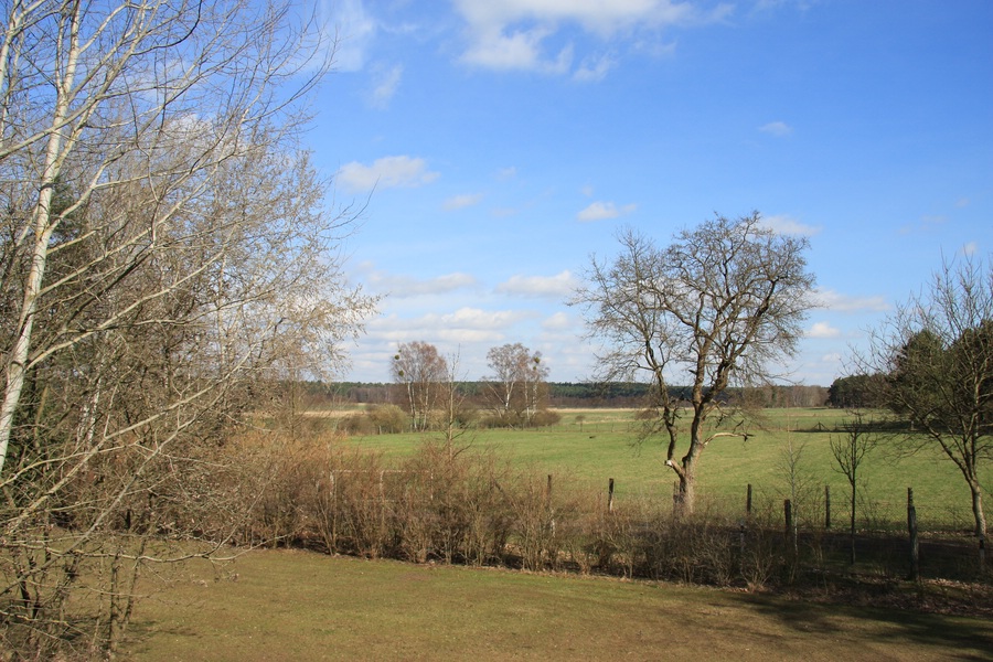 Compb 1Frühling