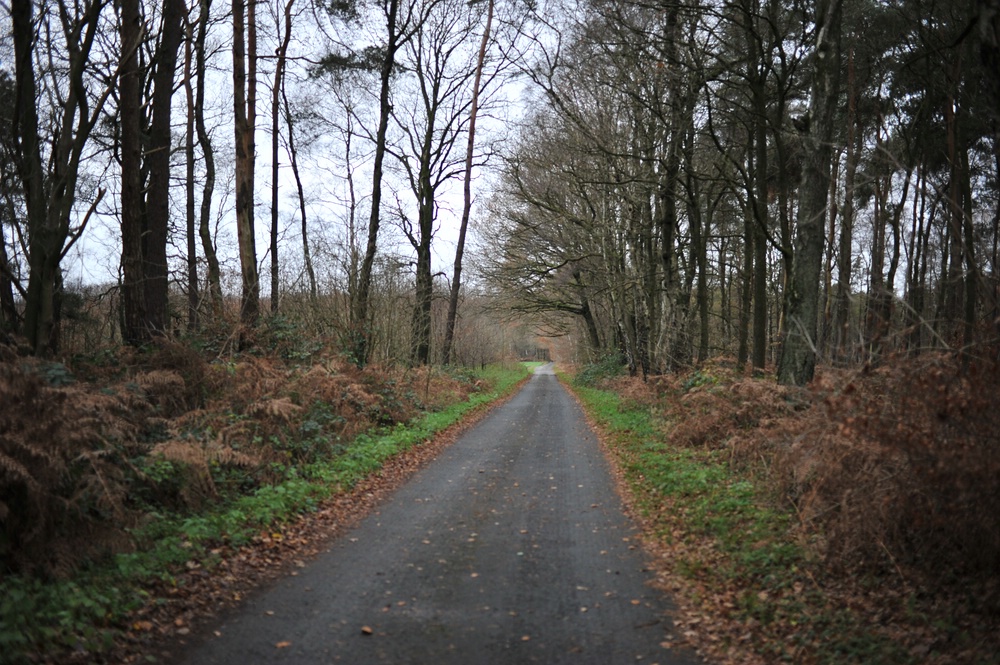 compDSC 3282