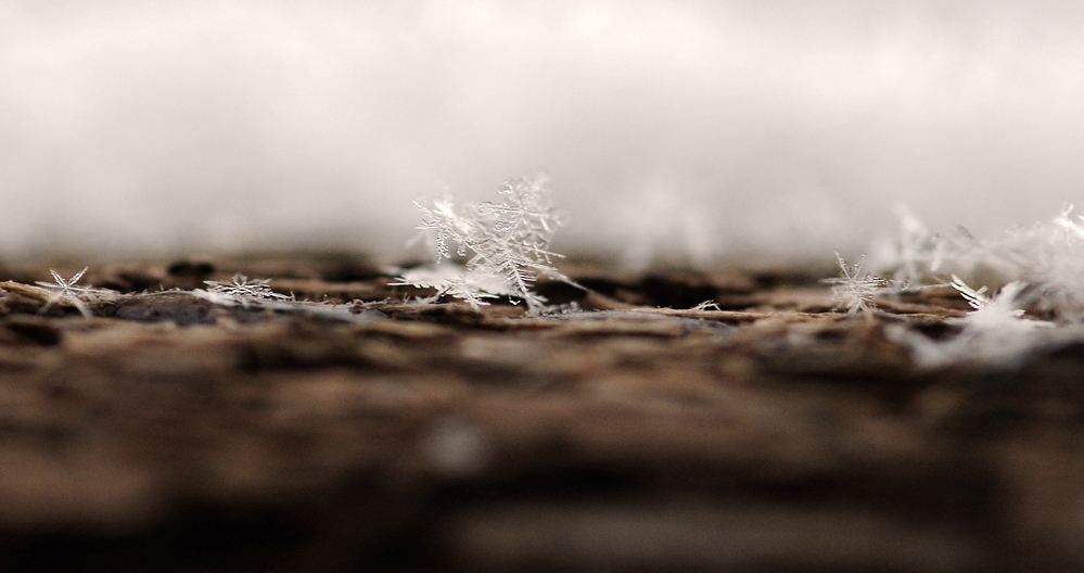 Compressed 0063