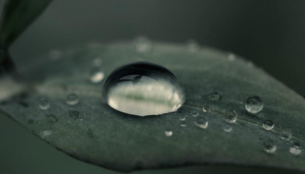 Compressed 0140