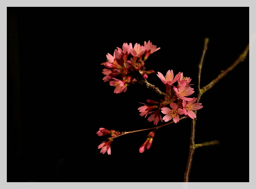Compressed 0534