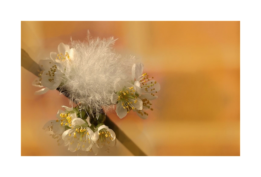 Compressed 0541