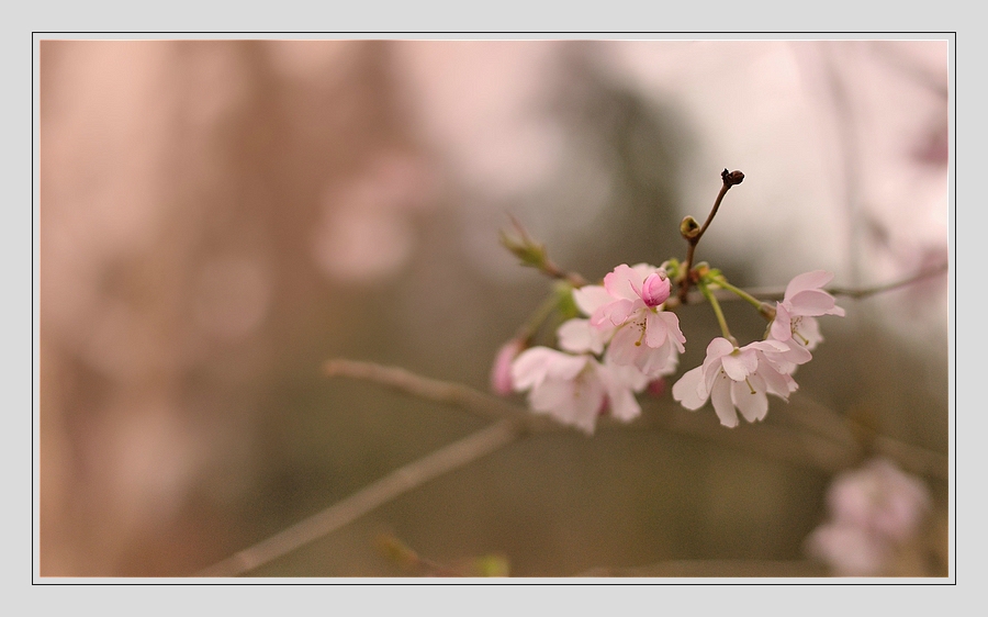 Compressed 0548