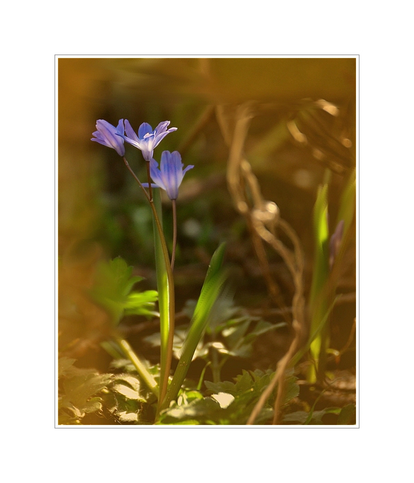 Compressed 0551