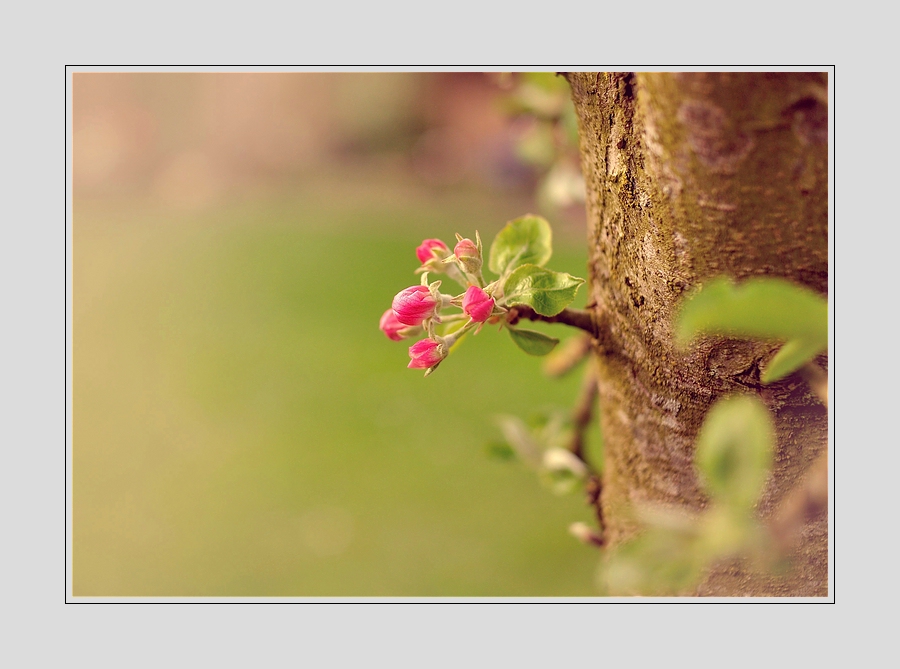 Compressed 0565