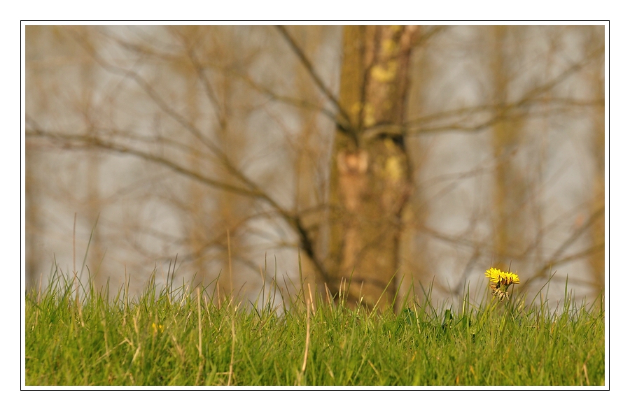 Compressed 0576