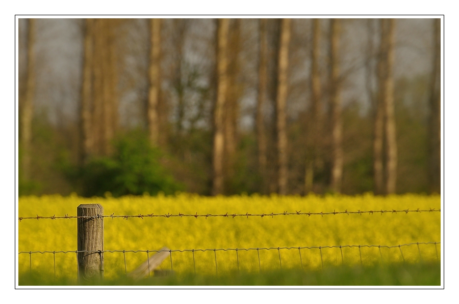 Compressed 0578