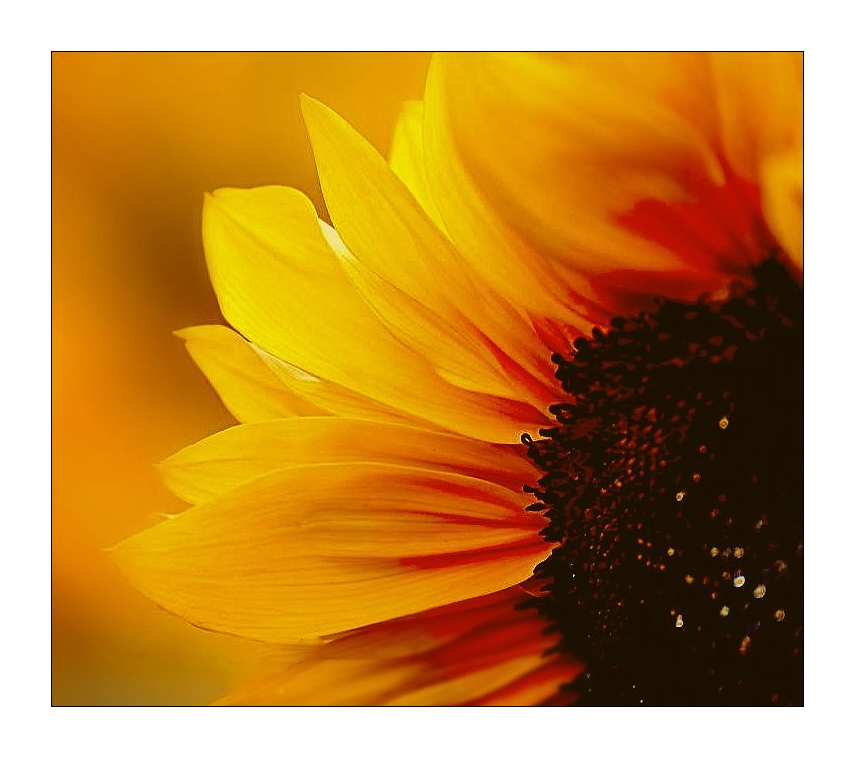 Compressed 0664