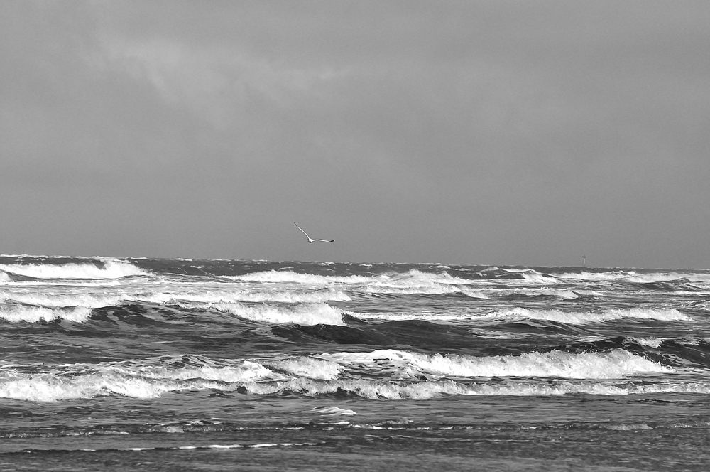 Compressed 0819 höhe 800 an  Bildschirm