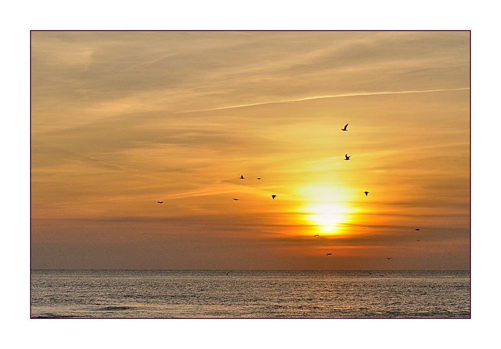 Compressed 0823 höhe 800 an  Bildschirm