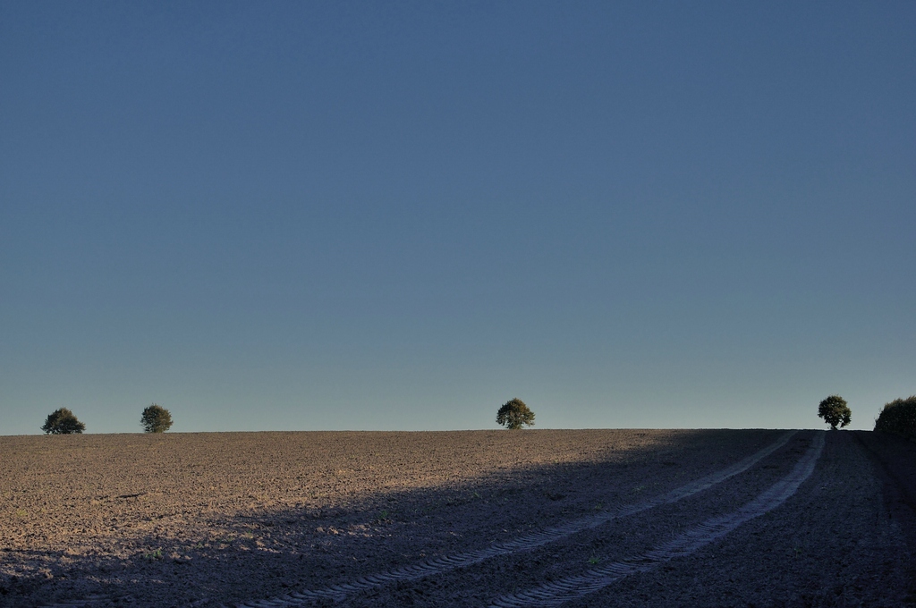 Compressed Astrup 3
