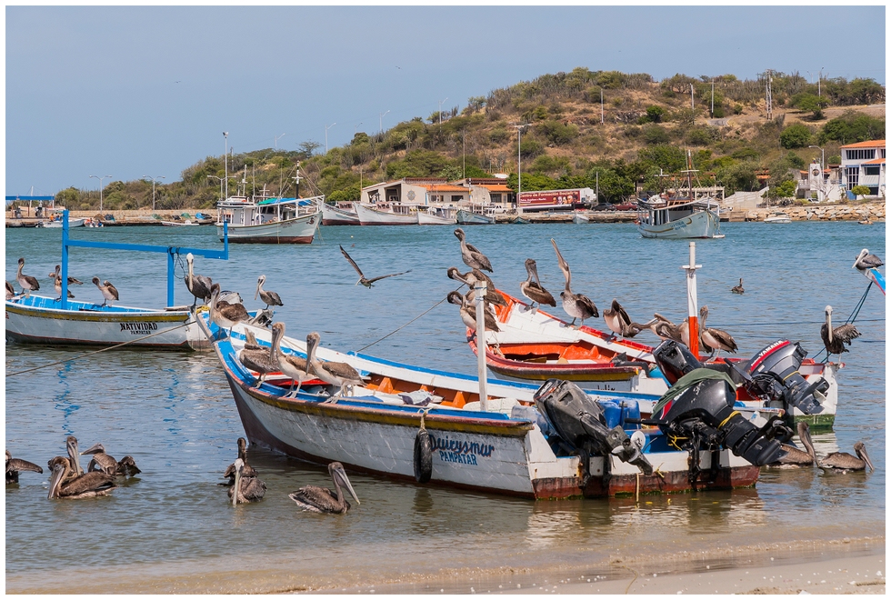 Compressed_0690.jpg