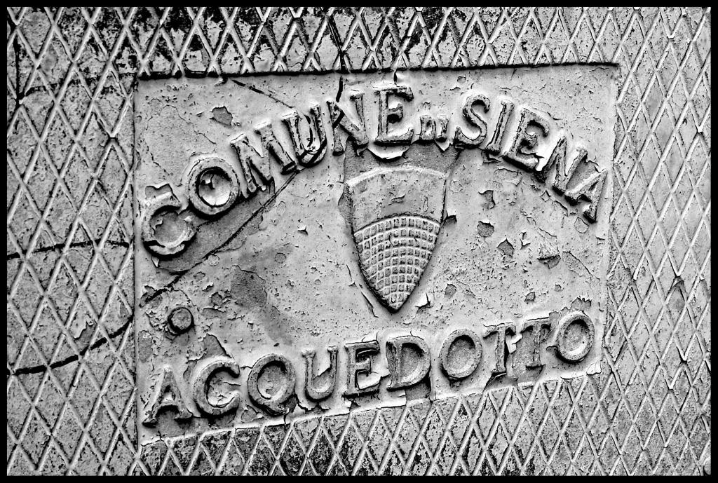 Comune di Siena  D7K3135