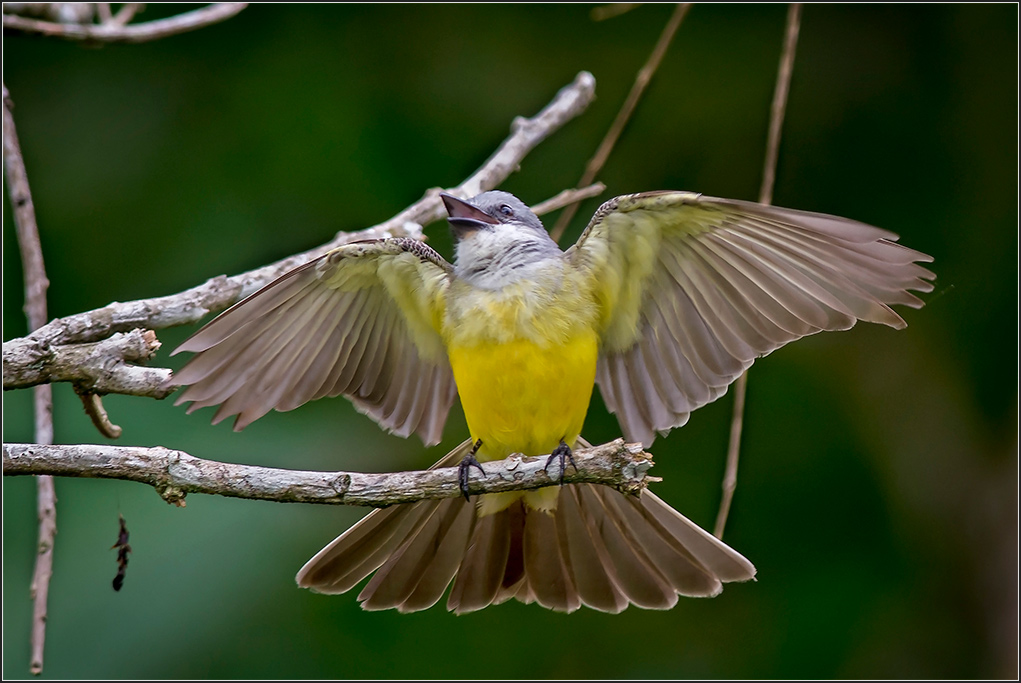 Costa Rica 2271