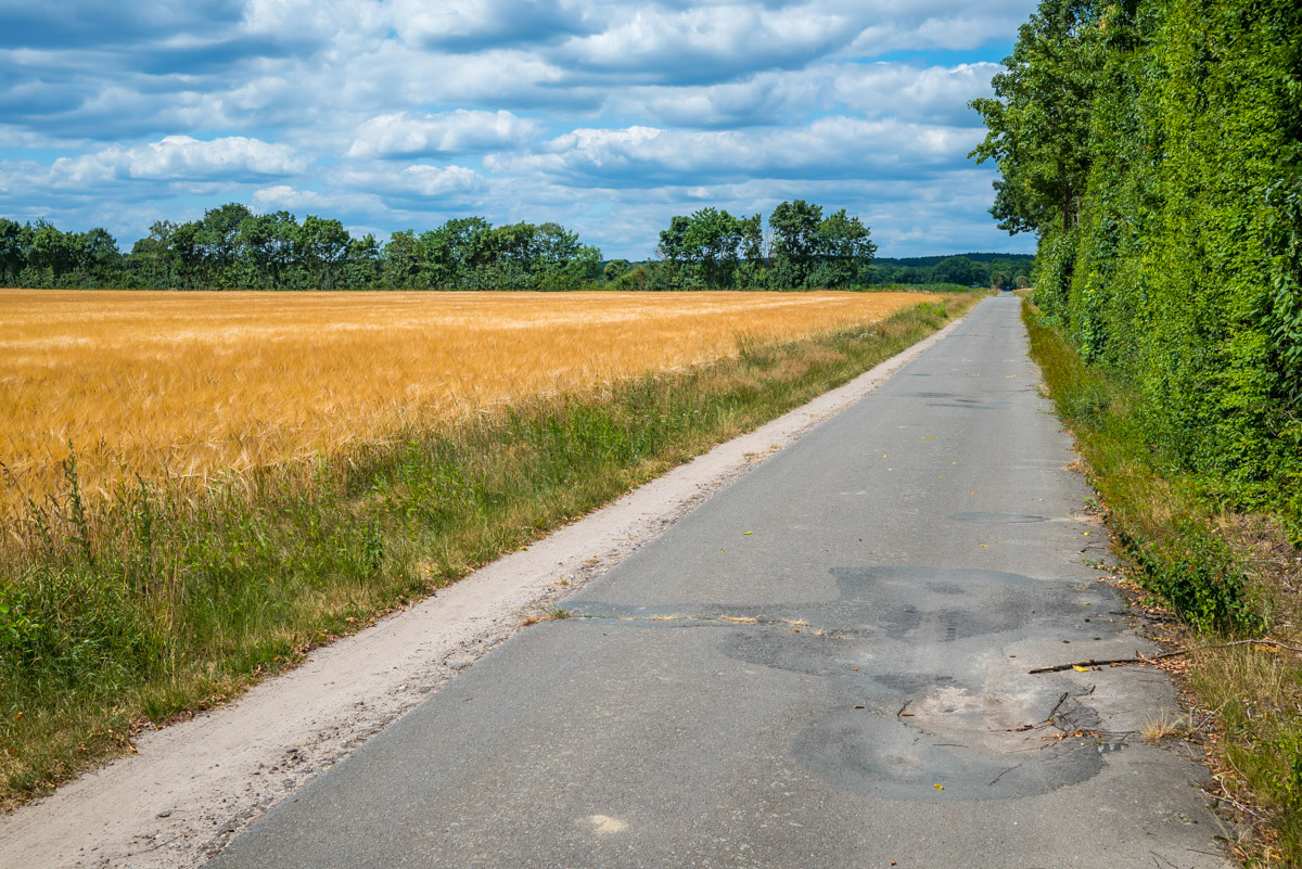 Country Road 1-1.jpg